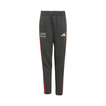 2026 Audi Revolut F1 Kids DNA Trousers