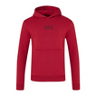 2026 Red Bull Racing F1 Graphic Bull Hoodie Red