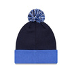 2026 Williams Racing Mens Essentials Winter Hat
