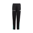 Mercedes AMG F1 Kids DNA Logo Trousers