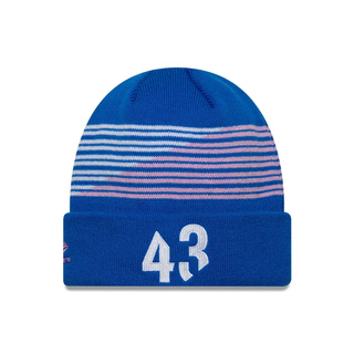 Alpine F1 2026 Franco Colapinto Team Beanie