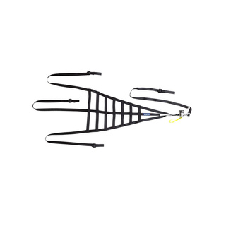 Sparco Window Net Black (FIA)