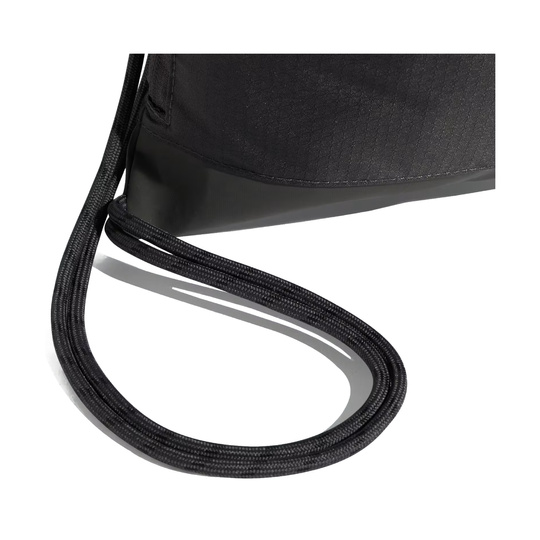 Audi Revolut F1 2026 DNA Gymsack