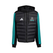 2026 Mercedes AMG F1 DNA Down Jacket