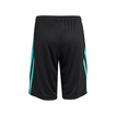 2025 Mercedes AMG F1 Kids DNA Logo Shorts