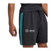 2025 Mercedes AMG F1 Mens DNA Logo Shorts