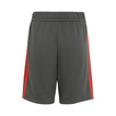 2026 Audi Revolut F1 Kids DNA Shorts