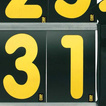 OMP Professional Pit Board + set of 42 cards