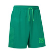 Aston Martin Racing 2026 Racing Team Shorts