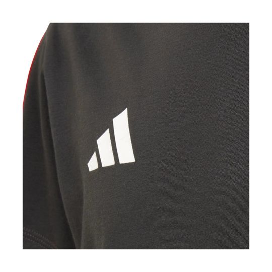 2026 Audi F1 Kids DNA T-shirt grey