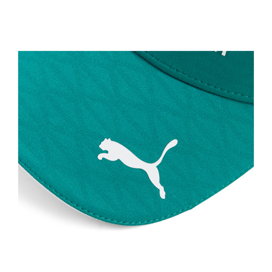 Aston Martin F1 2026 Lance Stroll Team Cap Green