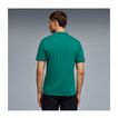 2026 Aston Martin F1 Seasonal Polo Shirt Green
