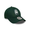 Visa Cash App RB F1 Seasonal Hat Green