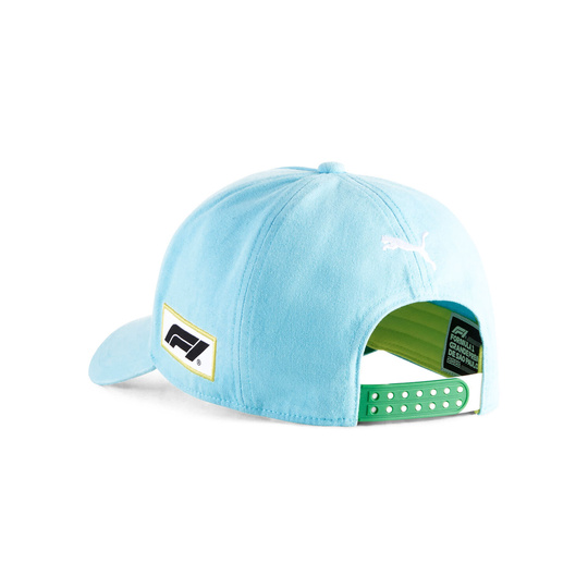 Formula 1 Brazil GP Cap