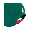 Mercedes AMG F1 2026 Mexico Cap