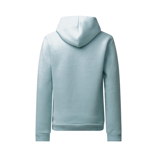 McLaren F1 Kids Essentials Hooded sweatshirt blue