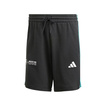 2025 Mercedes AMG F1 Mens DNA Logo Shorts