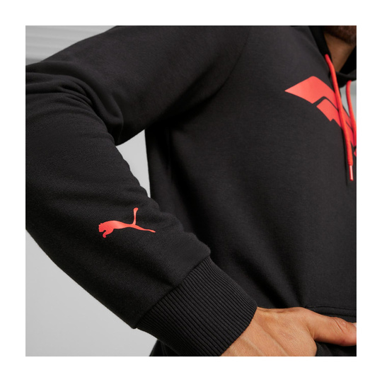 2026 Formula 1 Men's Logo Black Hoodie