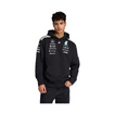 Mercedes AMG F1 2026 Team Hoodie