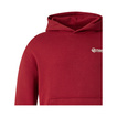 Haas F1 2026 USA Flag TGR Hoodie