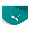 Aston Martin F1 2026 Lance Stroll Team Cap Green