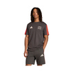 Audi Revolut F1 2026 DNA T-shirt Grey
