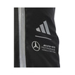 2025 Mercedes AMG F1 Mens Advanced backpack