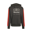2026 Audi Revolut F1 DNA Hoodie
