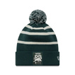 2025 Visa Cash App RB Mens Sport Winter Hat