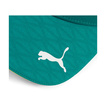 Aston Martin F1 2026 Team Cap Green