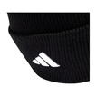2026 Mercedes AMG F1 DNA Beanie