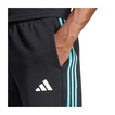 2025 Mercedes AMG F1 Mens DNA Logo Shorts