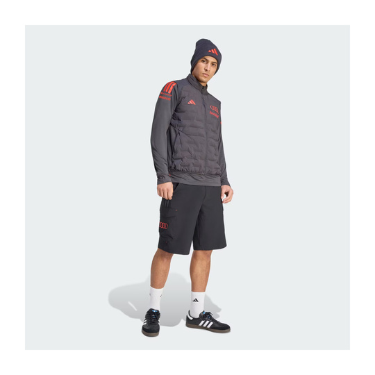 Team Audi Revolut F1 2026 Gilet