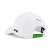 Formula 1 Brazil GP Cap