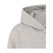 2026 Red Bull Racing F1 Kids Relaxed Hoodie Grey