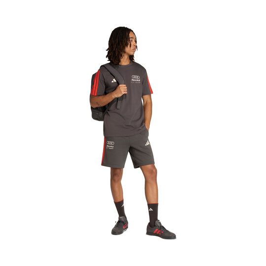 Audi Revolut F1 2026 DNA T-shirt Grey