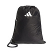Audi Revolut F1 2026 DNA Gymsack