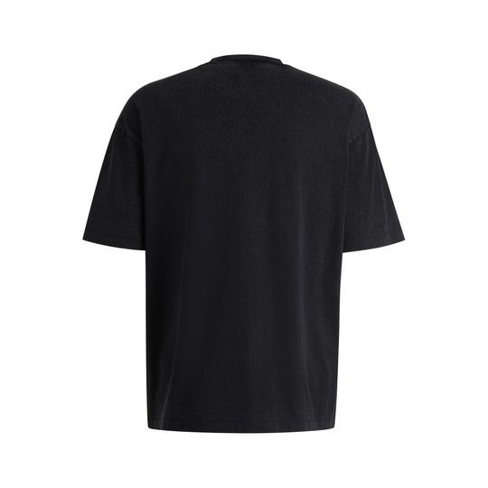 2025 Visa Cash App Racing Bulls Mens Washed T-shirt