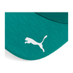 Aston Martin F1 2026 Fernando Alonso Team Cap Green