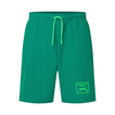 Aston Martin Racing 2026 Racing Team Shorts