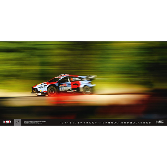 McKlein 2027 Rally - The Wider View Wall Calendar