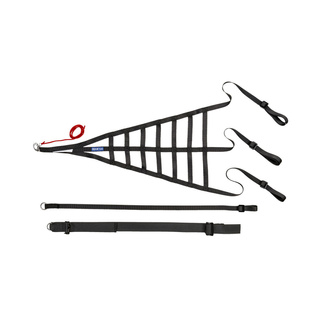 Sparco 002193NR Window Net Black (FIA)