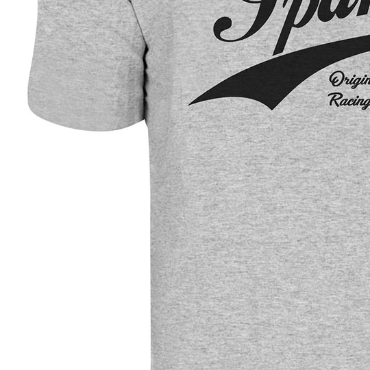 Sparco Vintage T-shirt Grey
