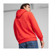 2025 Formula 1 Men's Logo Red Hoodie
