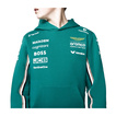 2025 Aston Martin F1 Kids Team Hooded Sweatshirt