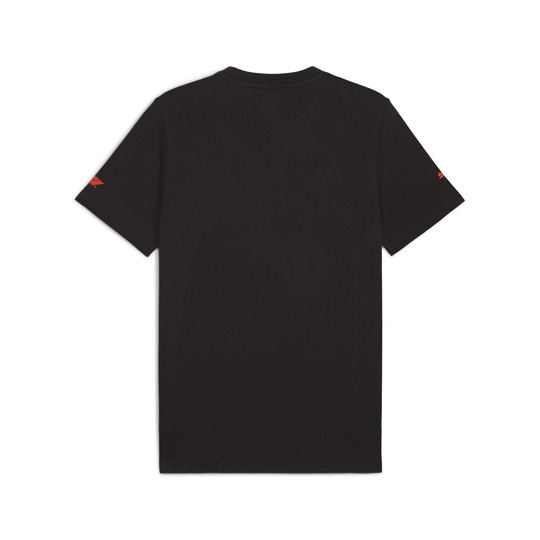 2025 Formula 1 Men's DTS Graphic T-shirt