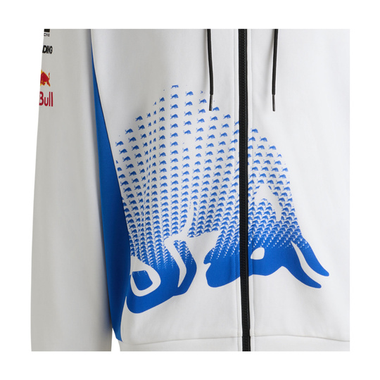 2025 Visa Cash App Racing Bulls Mens Team Hooded Sweatshirt