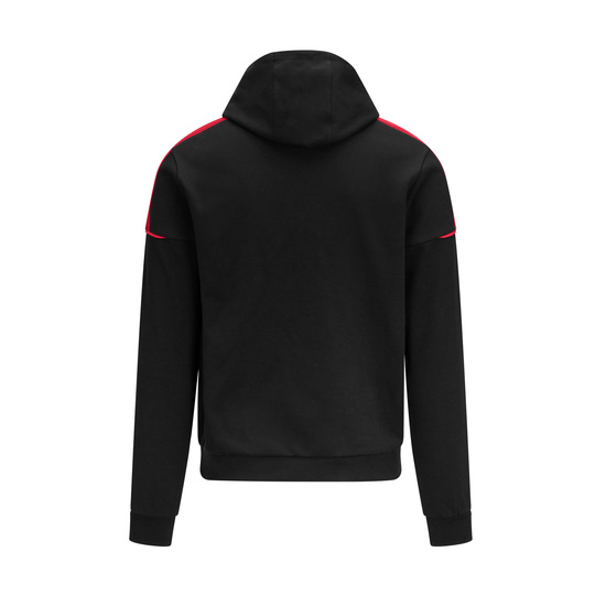 2025 Porsche Motorsport Logo Men's Hoodie