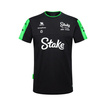 2024 Stake F1 Kick Sauber Mens Team T-shirt 
