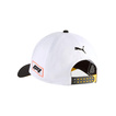 Formula 1 Mexico City GP Cap